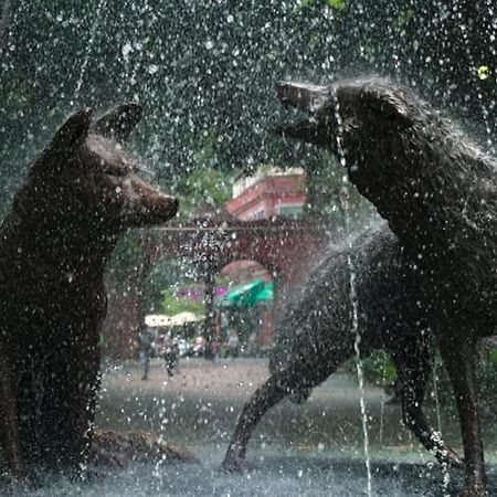 Casa Kalidy Coyoacan Meksika Dış mekan fotoğraf