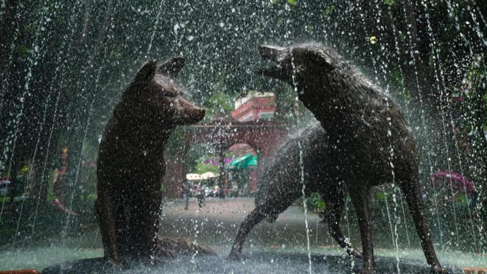 Casa Kalidy Coyoacan Meksika Dış mekan fotoğraf