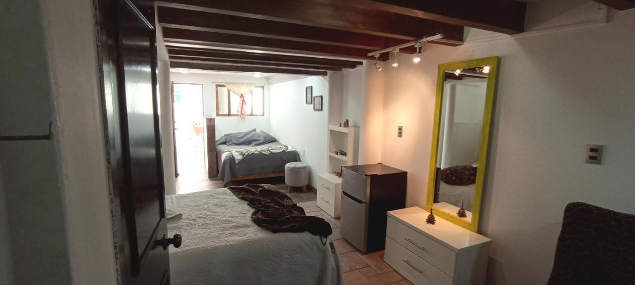 Casa Kalidy Coyoacan Meksika Dış mekan fotoğraf