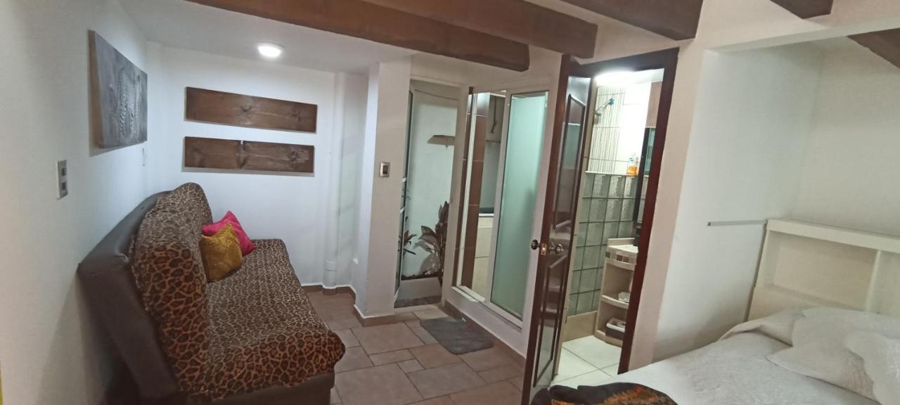 Casa Kalidy Coyoacan Meksika Dış mekan fotoğraf