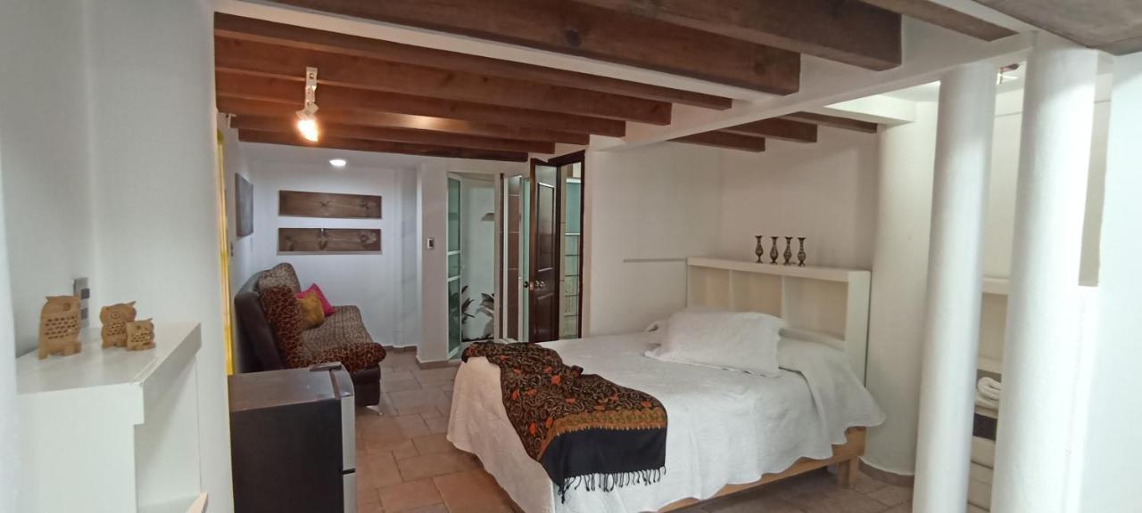 Casa Kalidy Coyoacan Meksika Dış mekan fotoğraf