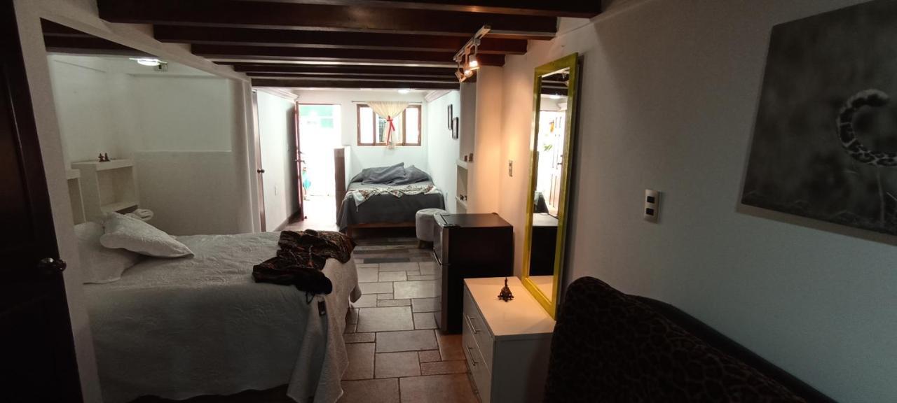 Casa Kalidy Coyoacan Meksika Dış mekan fotoğraf