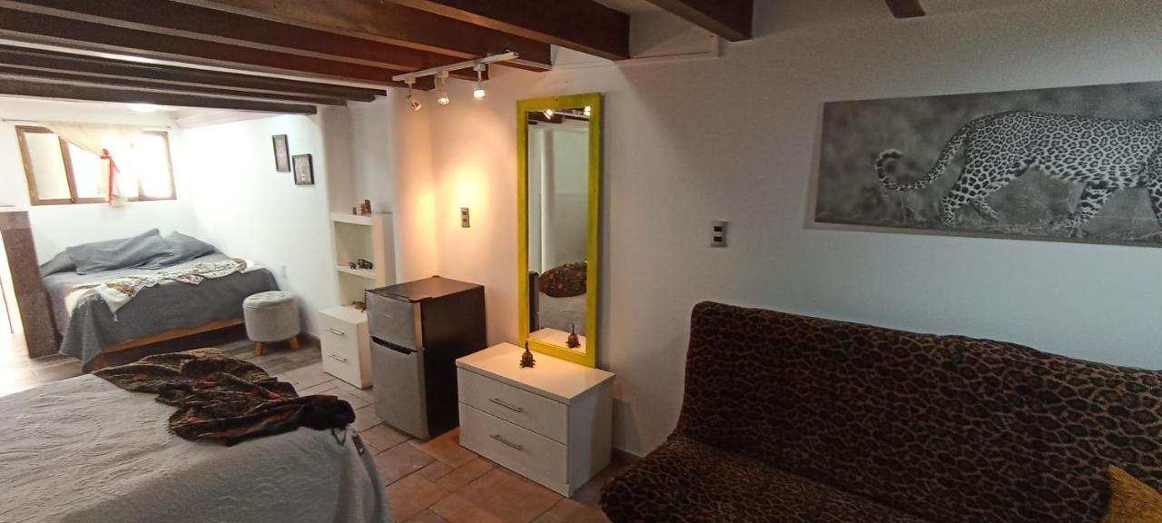 Casa Kalidy Coyoacan Meksika Dış mekan fotoğraf