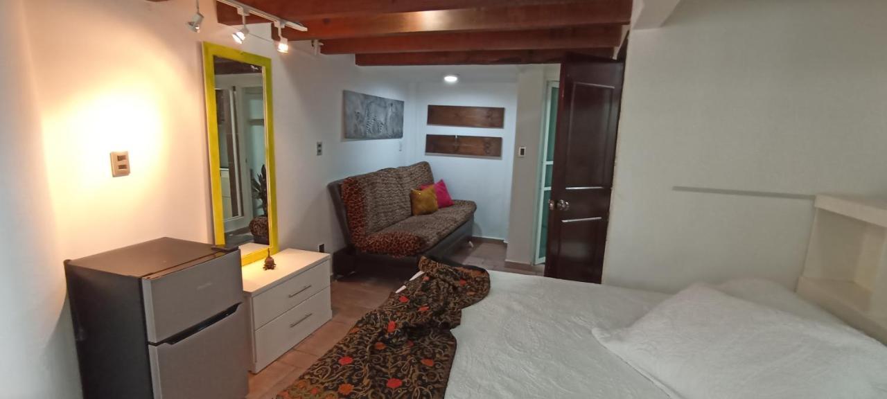 Casa Kalidy Coyoacan Meksika Dış mekan fotoğraf