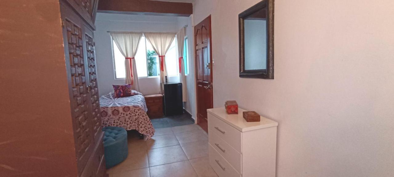 Casa Kalidy Coyoacan Meksika Dış mekan fotoğraf
