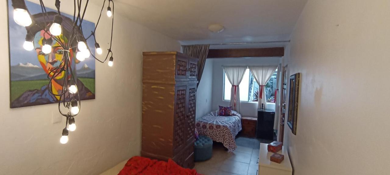 Casa Kalidy Coyoacan Meksika Dış mekan fotoğraf