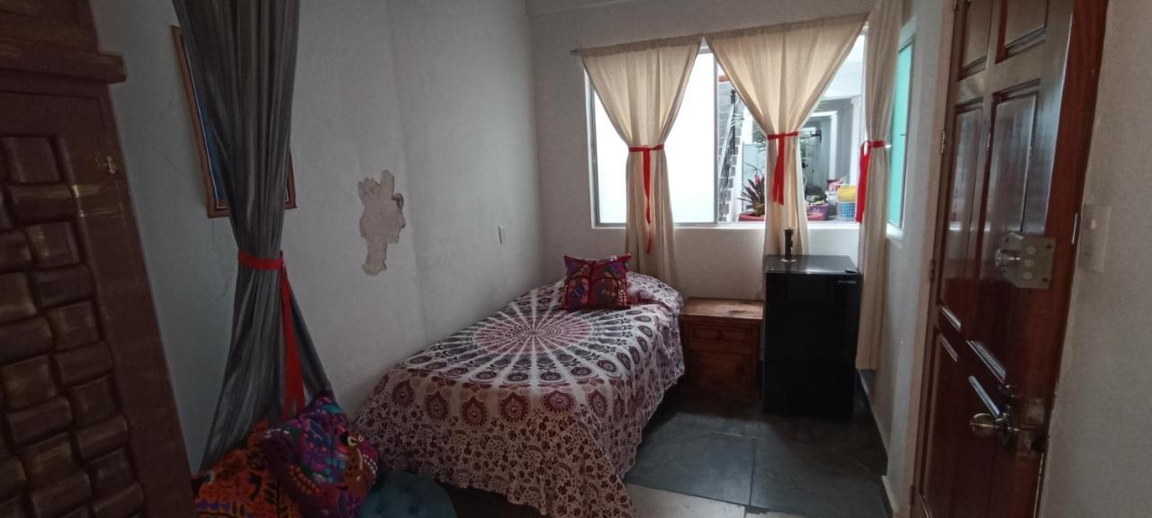 Casa Kalidy Coyoacan Meksika Dış mekan fotoğraf